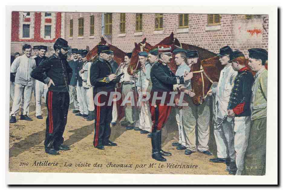 Artillerie visite des chevaux par le veterinaire veterinary horses life in barracks uniforme TOP CPA