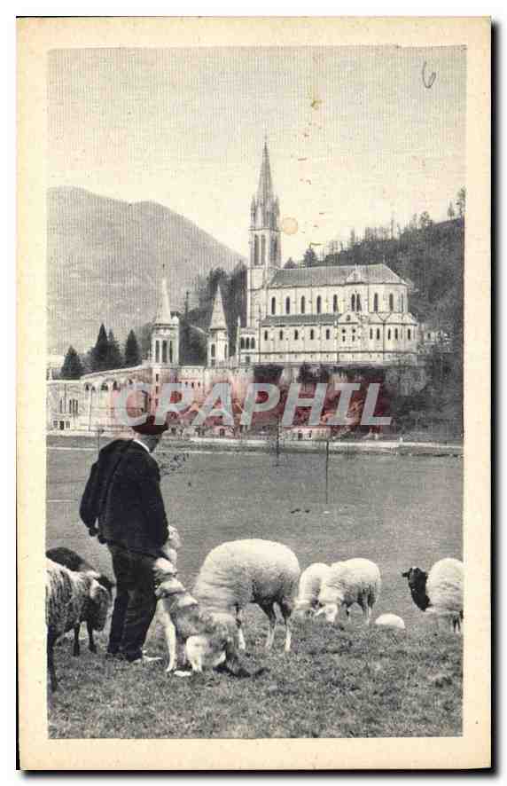 CPA Lourdes La Basilique Berger Moutons