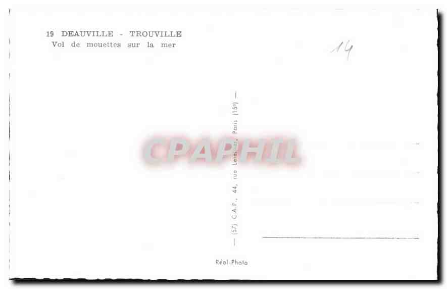 Deauville - Trouville — Vol de mouettes sur la mer — C.A.P., Paris — Rückseite