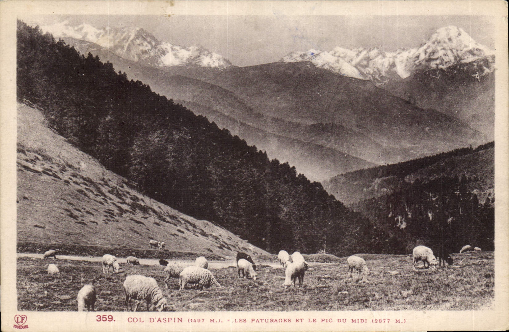 Col d'Aspin (1497 m.) — Les paturages et le Pic du Midi (2877 m.) — Phototypie Labouche frères, Toulouse, n° 359