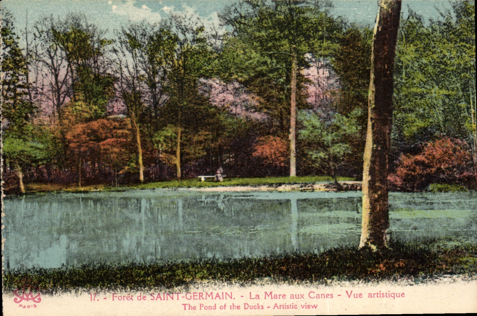 Forêt de SAINT-GERMAIN - La Mare aux Canes - Vue artistique