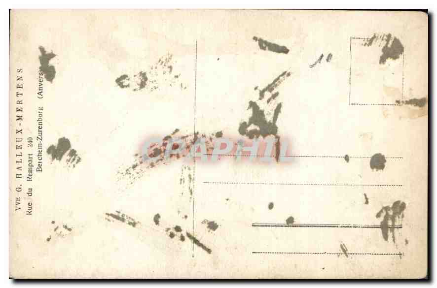 CARTE PHOTO Femme Chien — Rückseite