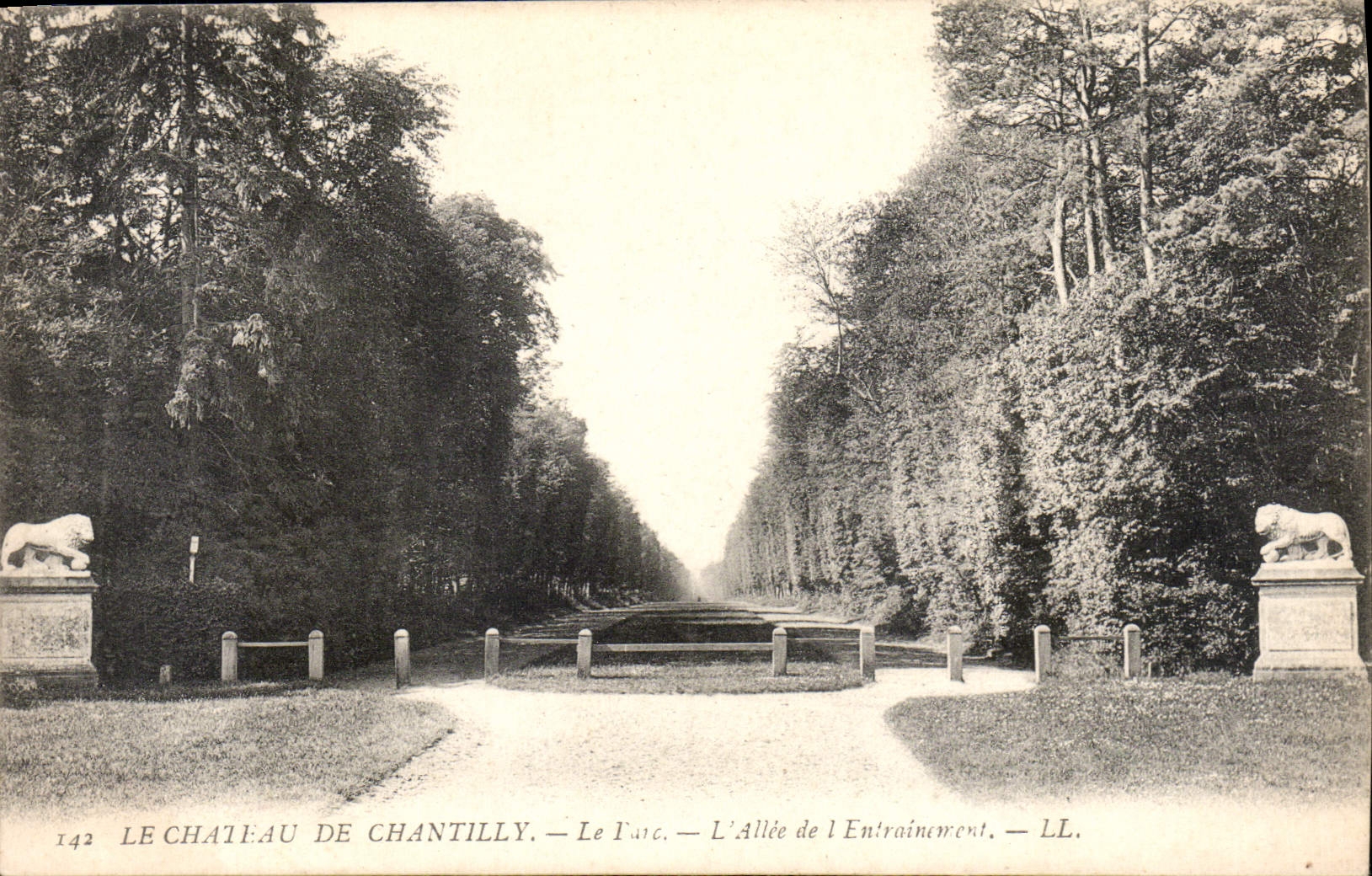 CPA Le Chateau au de Chantilly Le Parc L'Aille de l'Environment 