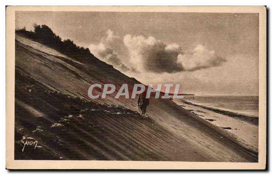 CPA Les Charmes de la Cote d'Argent Mer et Foret 