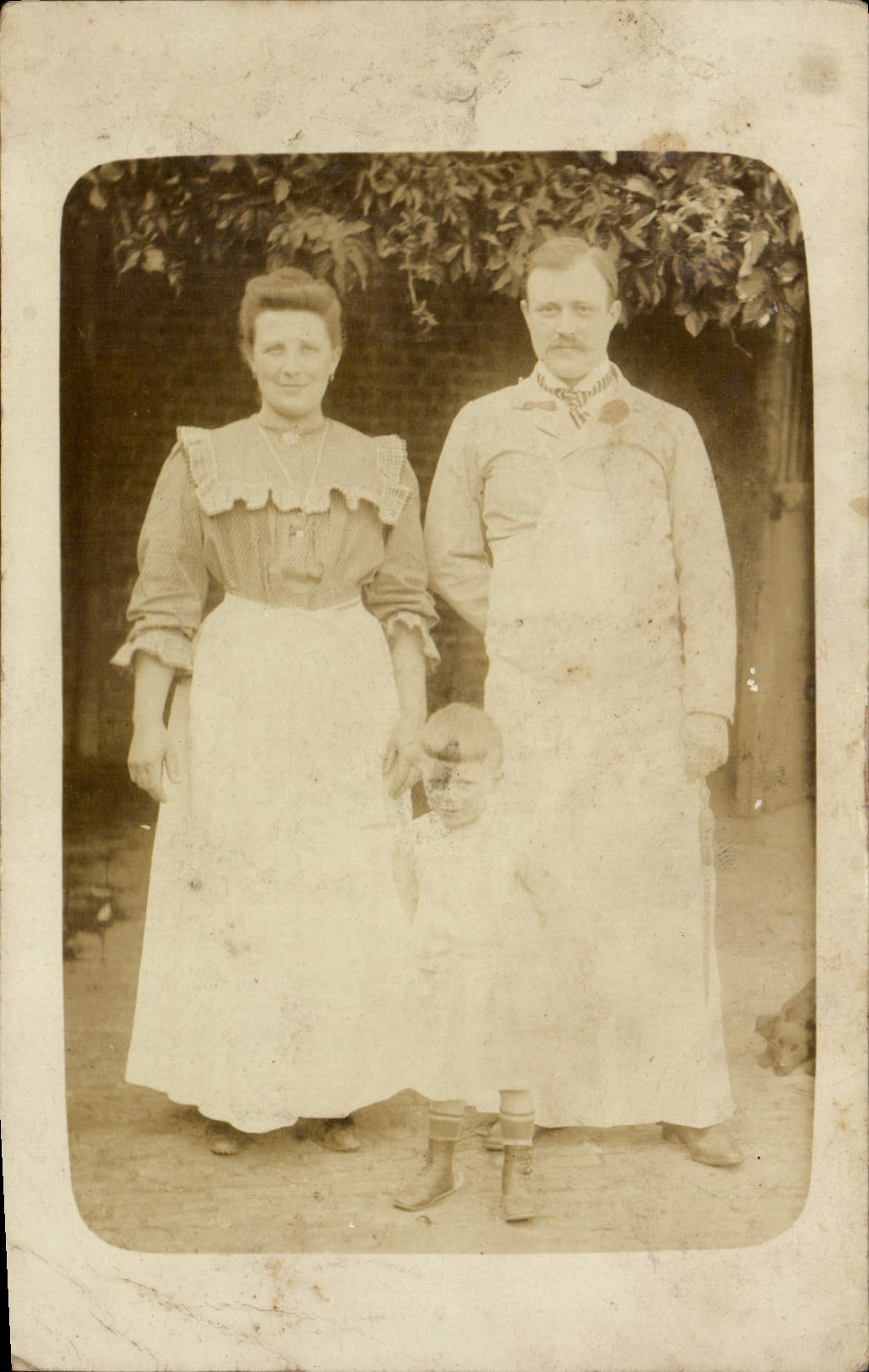 CARTE PHOTO Femme 