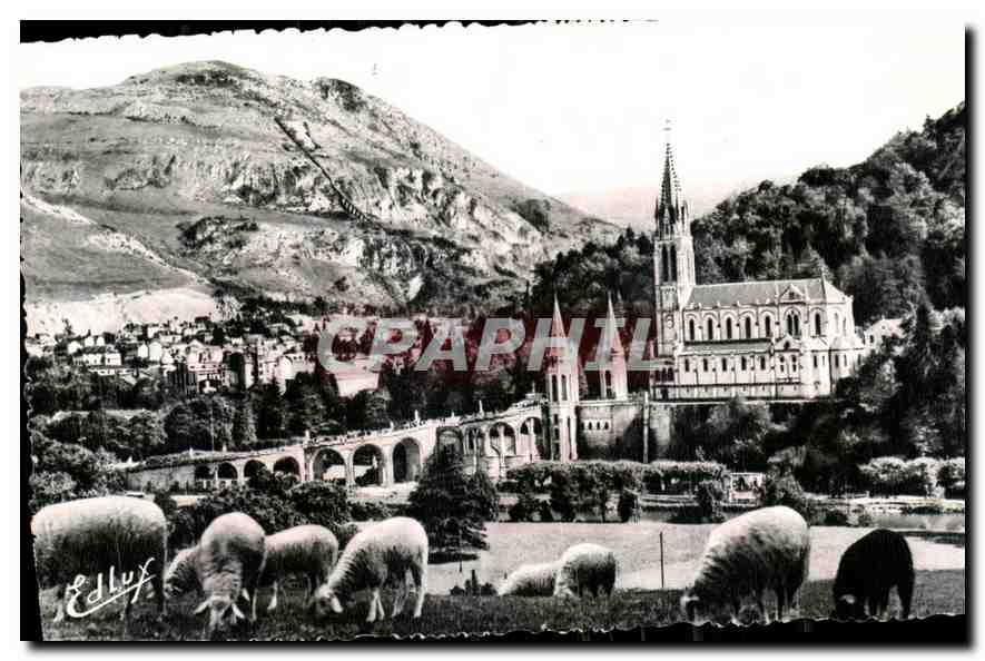 CPA Lourdes La Basilique et le Pic du Jer 