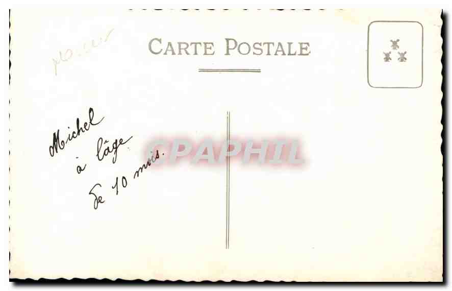 CARTE PHOTO Enfant Bebe Chien — Verso