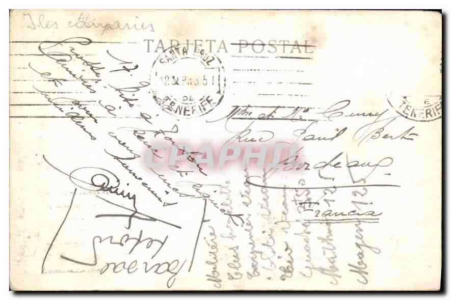 CARTE PHOTO Tenerife Una carreta Attelage Bœufs — Verso