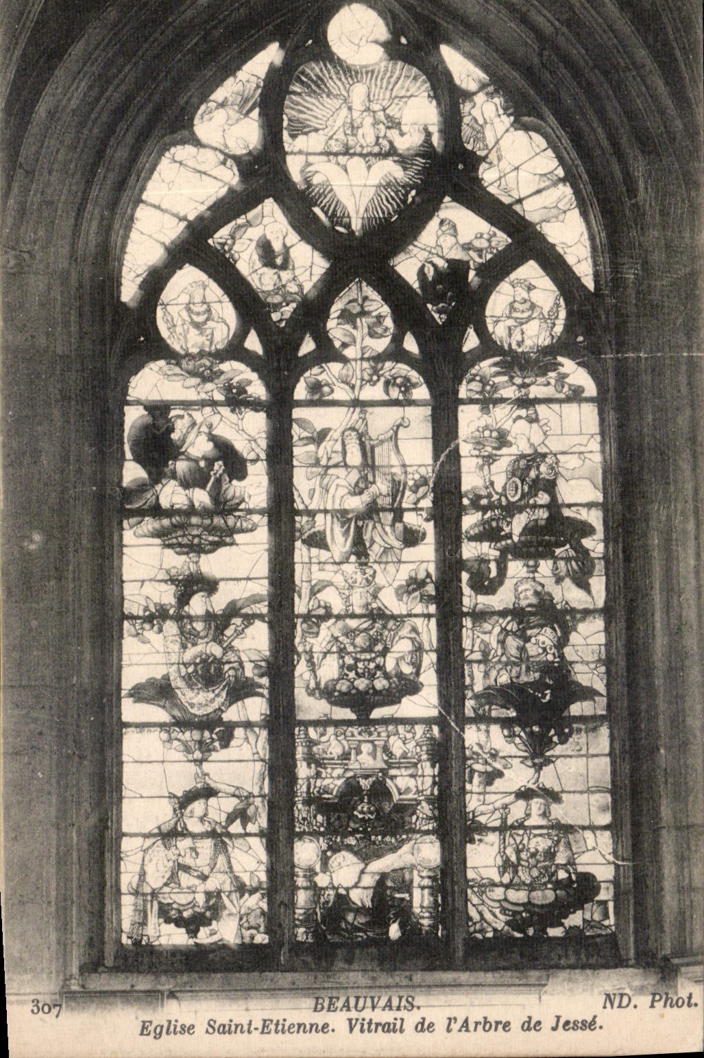 Beauvais — Église Saint-Étienne. Vitrail de l'Arbre de Jessé — ND. Phot.