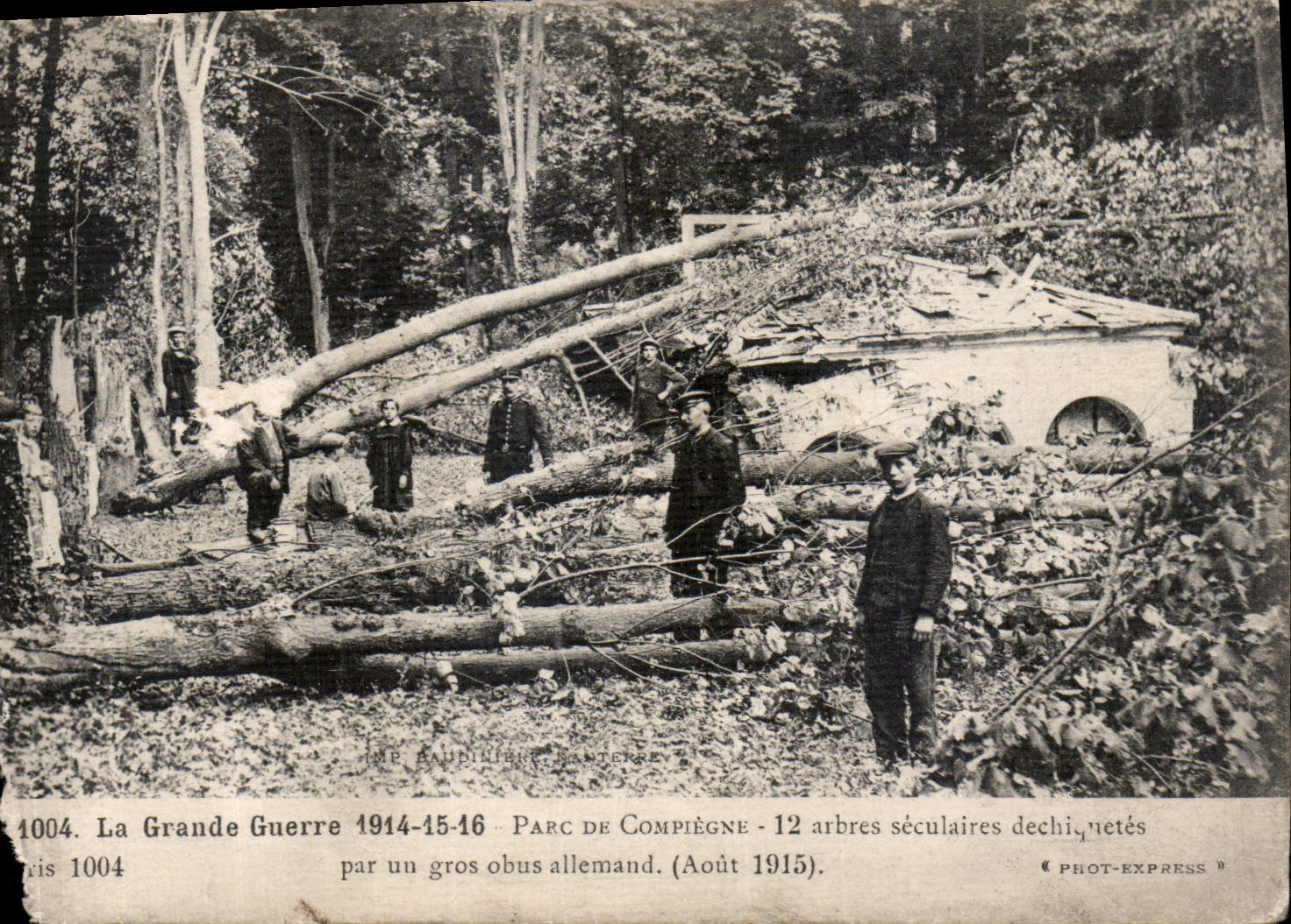 CPA La Grand Guerre 1914 15 16 parc de Compiegne 12 arbres seculaires dechiqmetes par un gros obus a