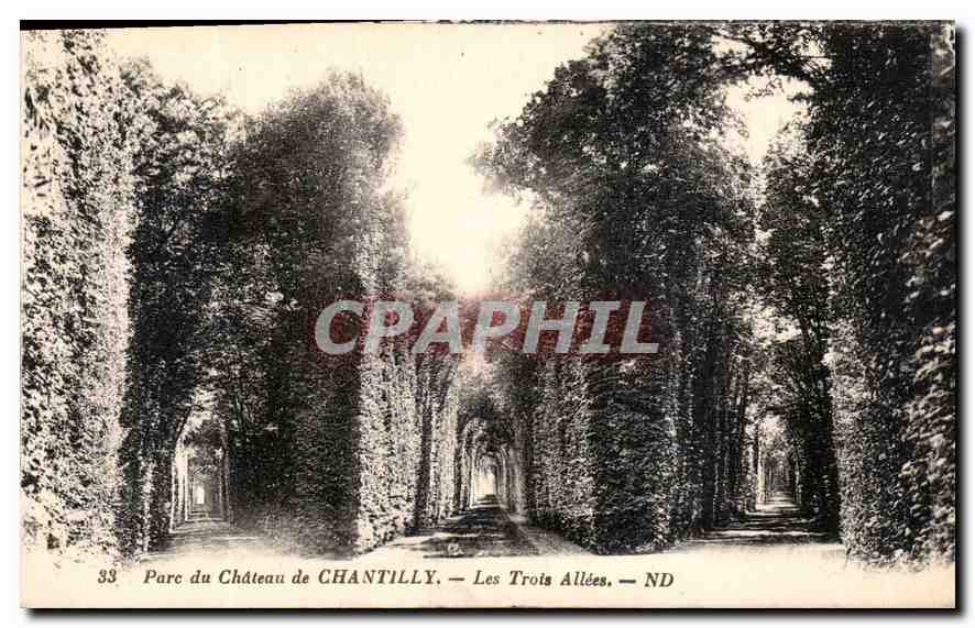 CPA Parc du Chateau de Chantilly les Trois Allees 