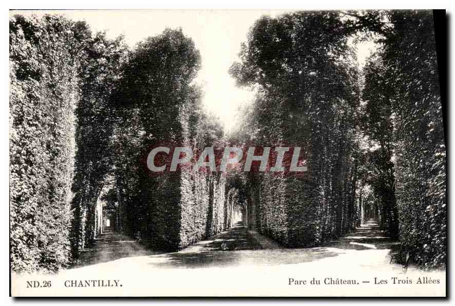 CPA Chantilly Parc du Chateau les Trois Allees 