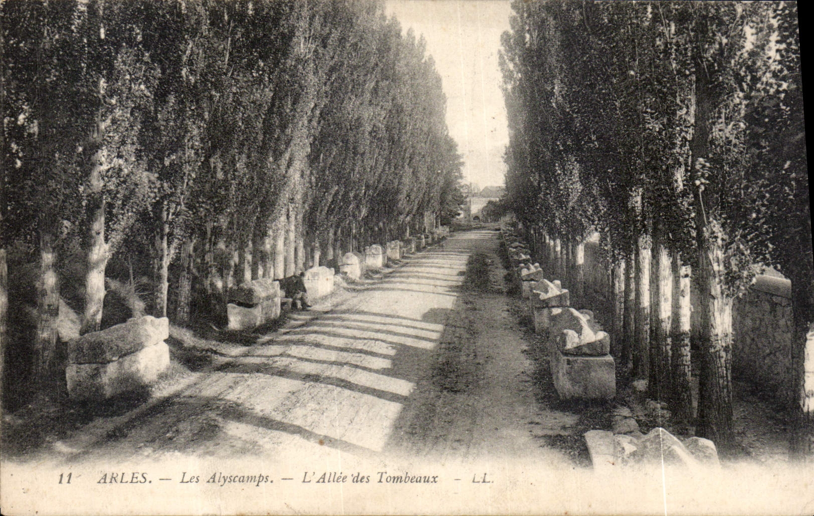 CPA Arles les Alyscamp l'Allee des Tombeaux 