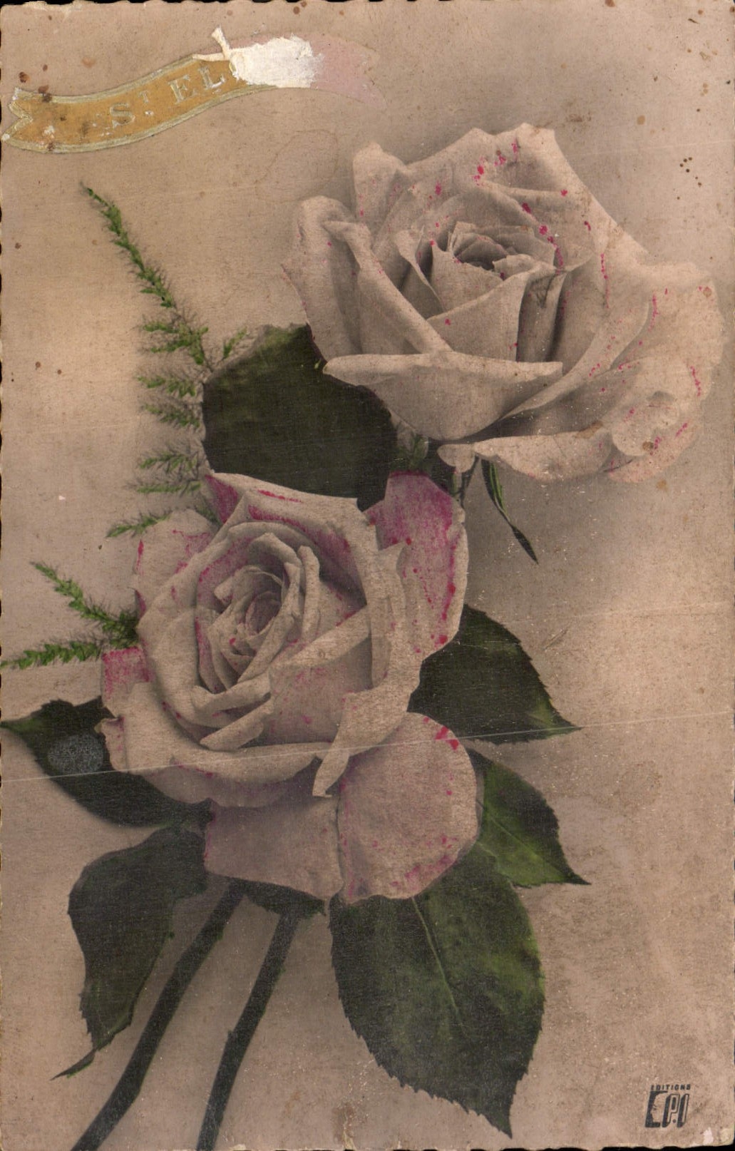 CPA Fleurs
