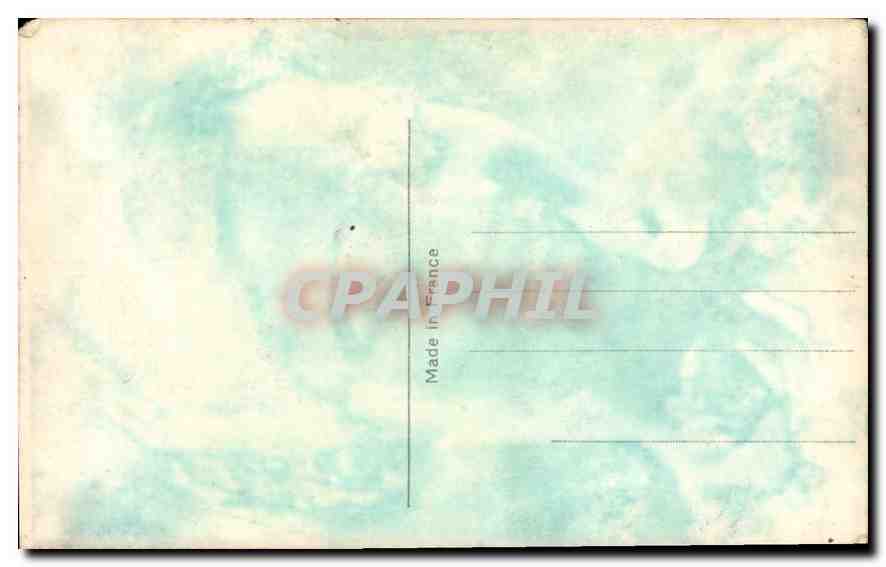 Jeune femme avec roses — carte postale — éditeur P. 215 — Achterkant