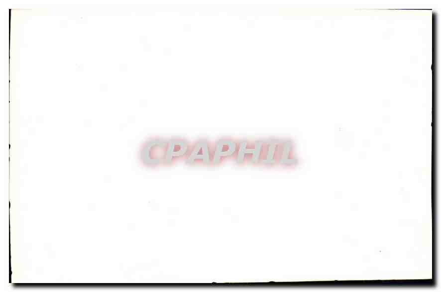 Photo Outil a filer chat Chaton — Rückseite