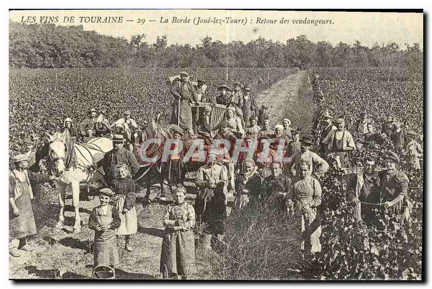 REPRO Les Vins de Touraine la Borde Joue les Tours Retour des Vendangeurs 