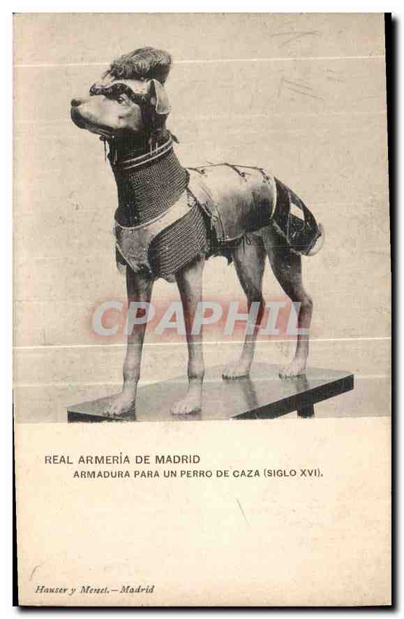 Armure pour chien de garde — XVIe siècle — Hausser y Menzel, Madrid