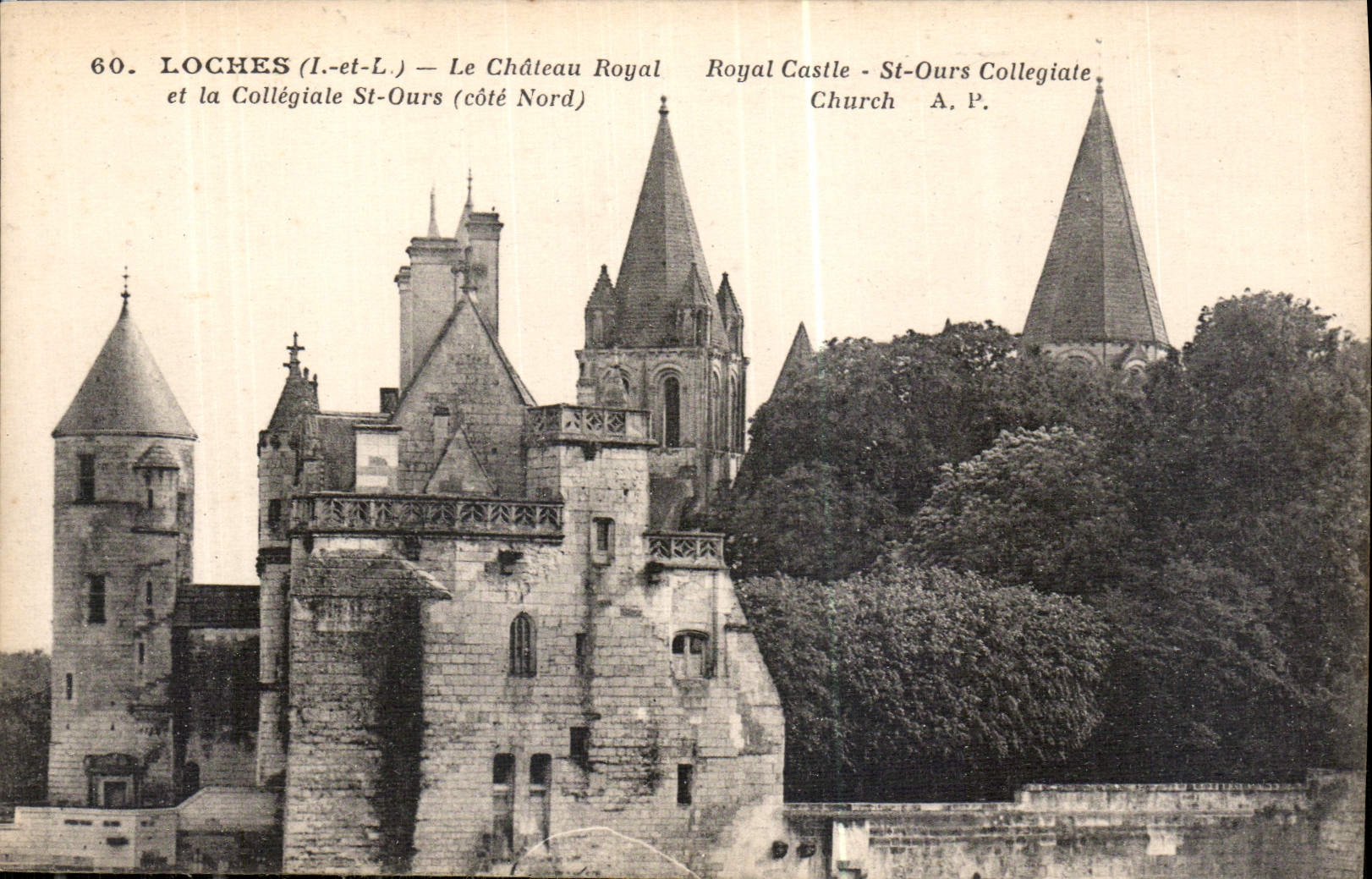 CPA Loches I et L le Chateau Royal et la Collegiale St Ours Cote Nord 