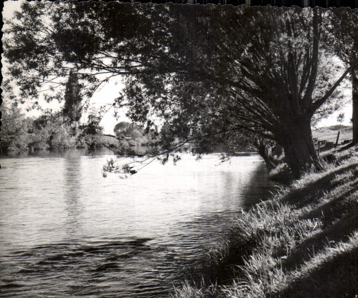 CPA La Haye Descartes Indre et loire les Bords de la Creuse 