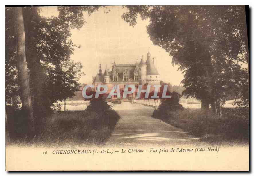 CPA Chenonceaux I et L le Chateau vue prise de l'Avenue 