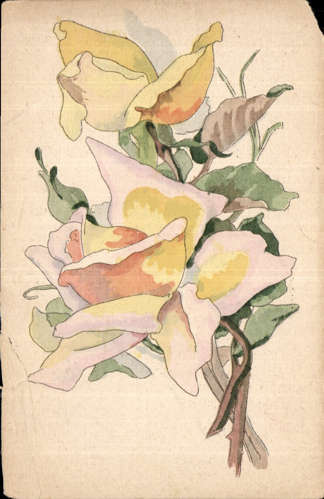 CPA Fleurs