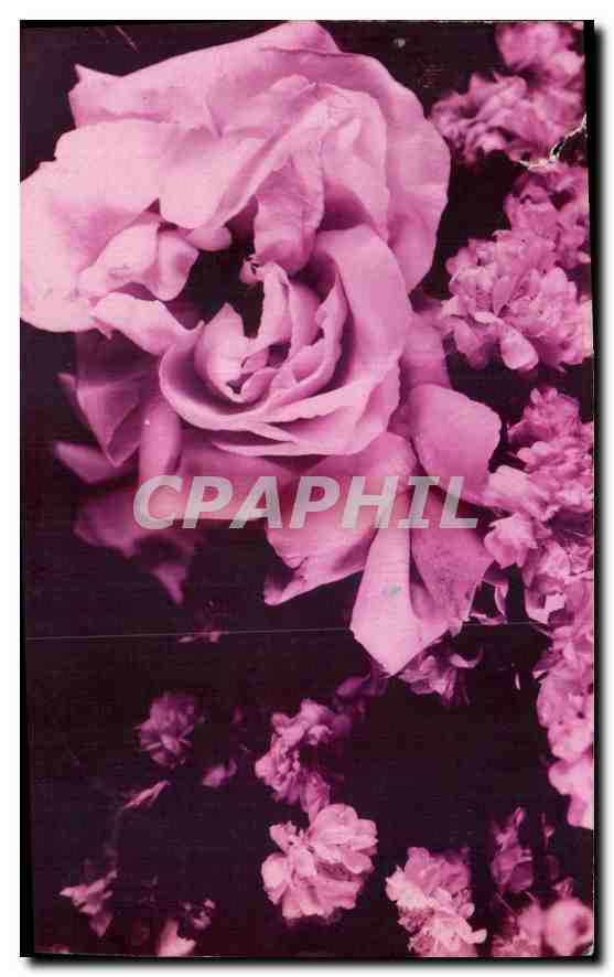 CPA Fleurs