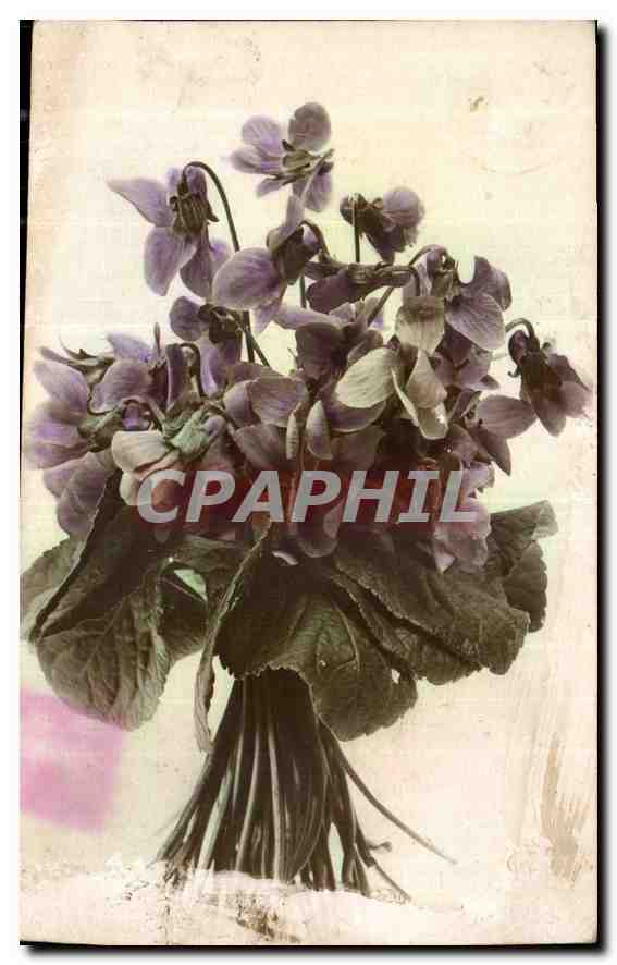 CPA Fleurs