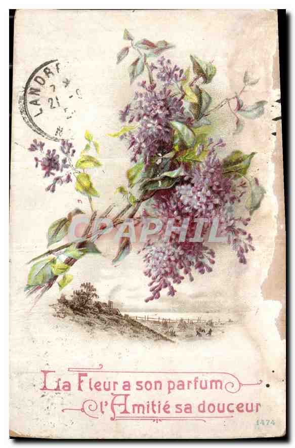 CPA La Fleur a son parfum Amitie sa douceur Fleurs