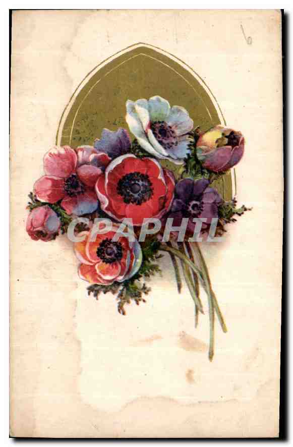 CPA Fleurs