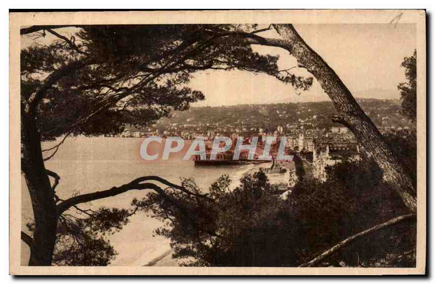 CPA Cote d'Azur Artistique Nice Etude entre les Pins 