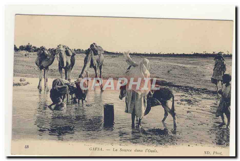 Tunisie Tunisia GAfSA la source dans l'oasis ane donkey chameau dromadaire camel dromedary native animation CPA