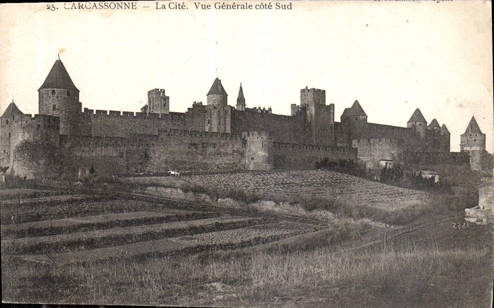 CPA Carcassonne la Cite vue generale Cote Sud 