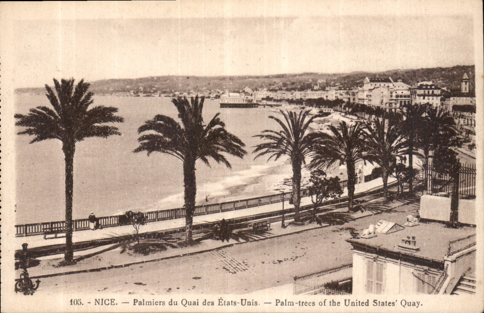 CPA Nice Palmiers du Quai des Etats Unis 