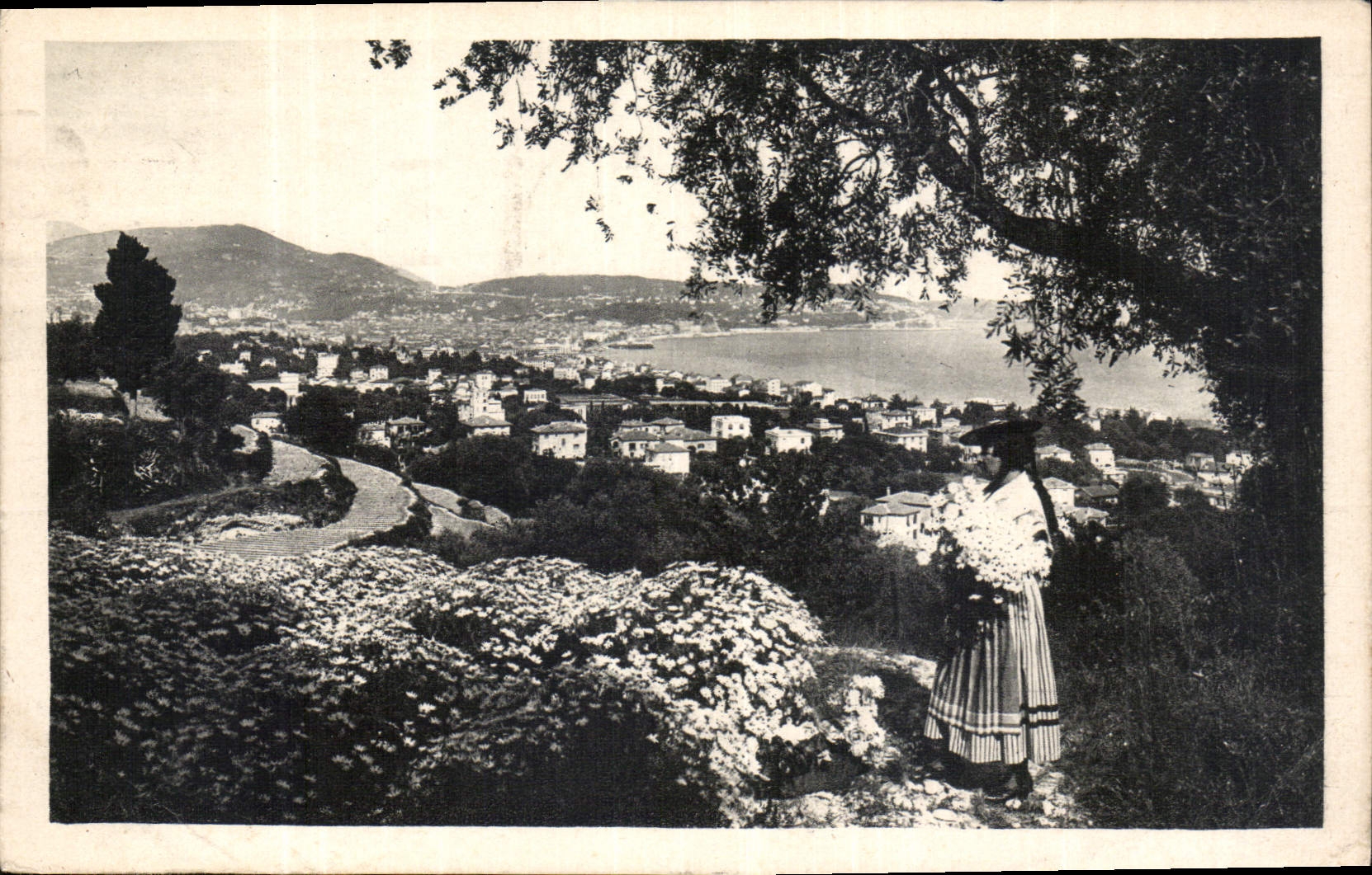 CPA Cote d'Azur Artistique Nice Entre les fleurs et les oliviers 