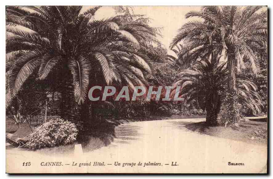 CPA Cannes le Grand Hotel un Groupe de Palmiers 