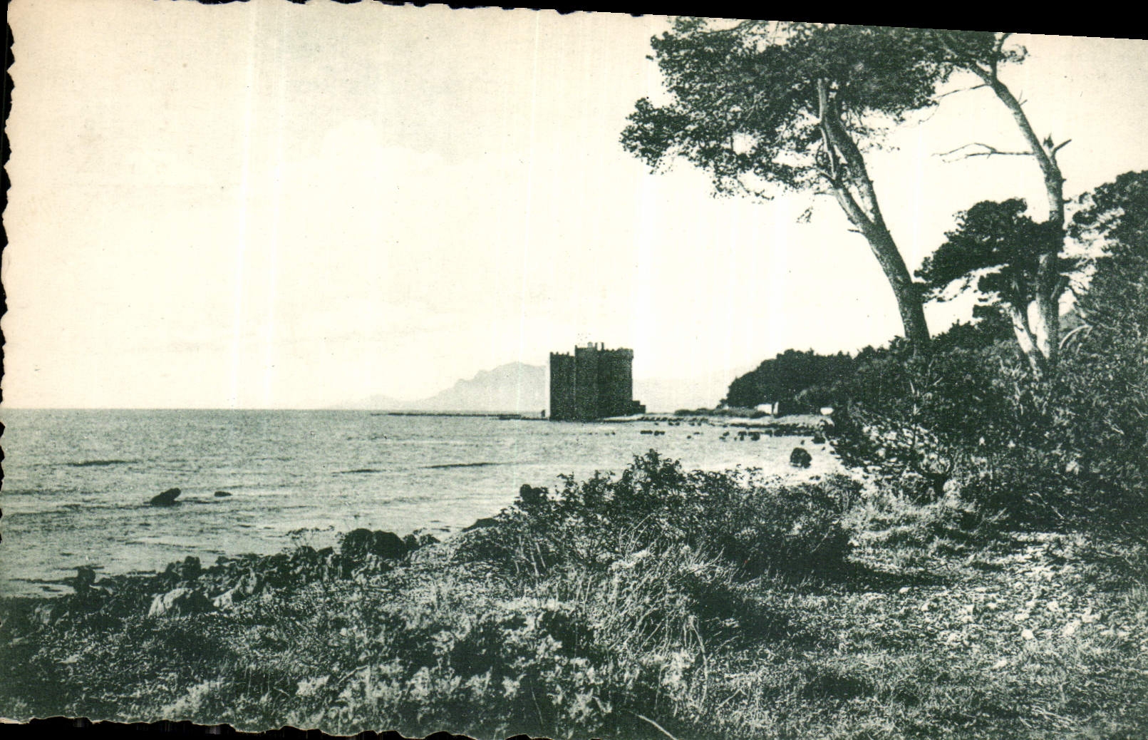 CPA Iles de Lerins Saint Honorat 