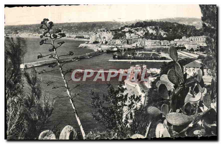 CPA Nice vue generale prise du mont Boron 