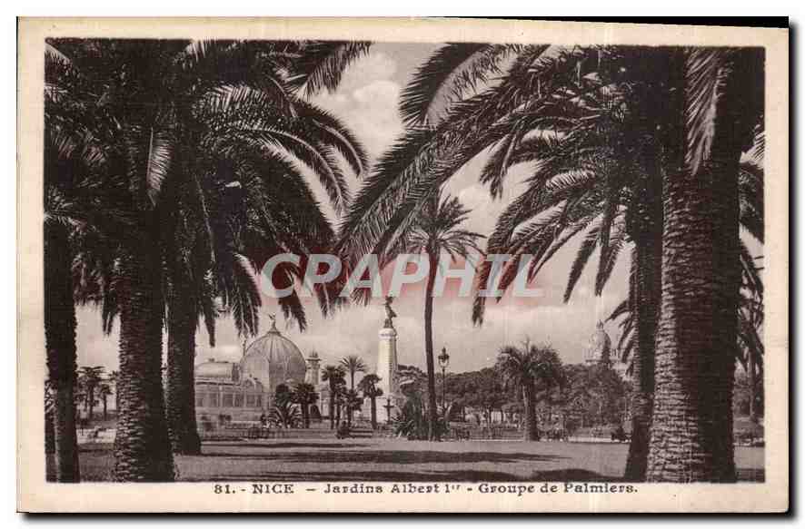 CPA Nice Jardins Albert Ier Groupe de Palmiers 