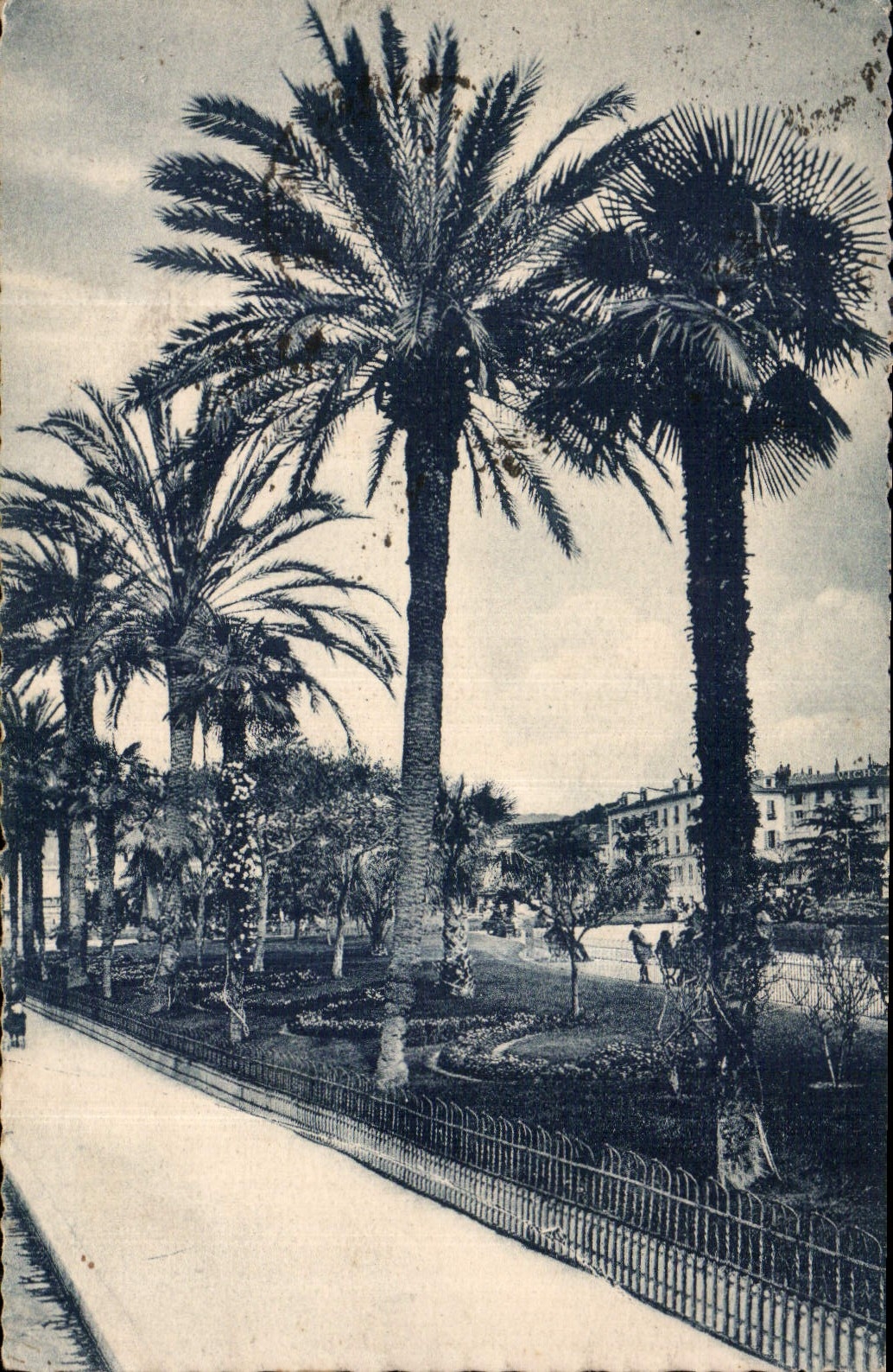 CPA Nice A M les Jardins Albert Ier 