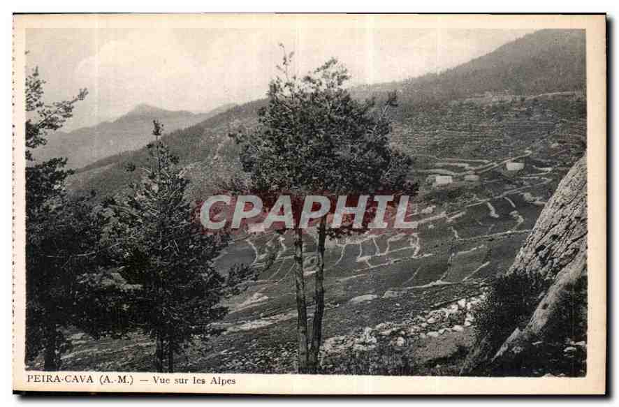 CPA Peira Cava A M vue sur les Alpes 
