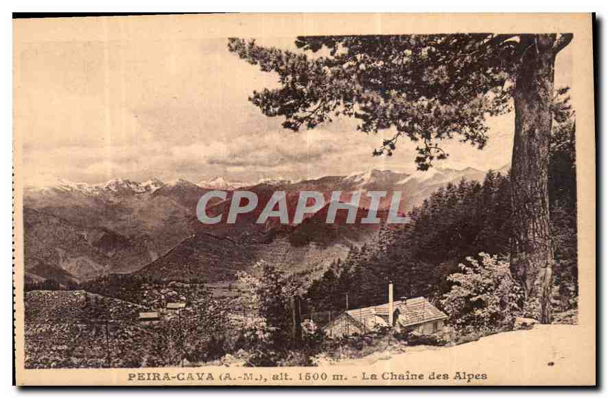 CPA Peira Cava A M la Chaine des Alpes 