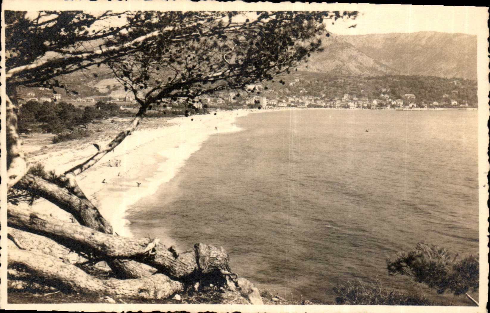 Le Lavandou — Vue de la plage et du port — Véritable Photographie