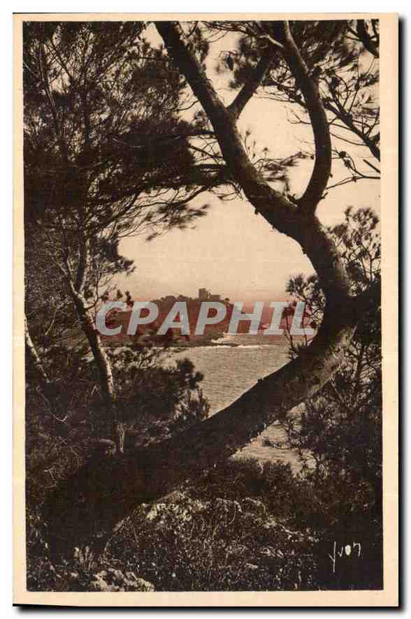 CPA Cote d'Azur Le Cap Ferrat vu a travers les Pins d'Alep 