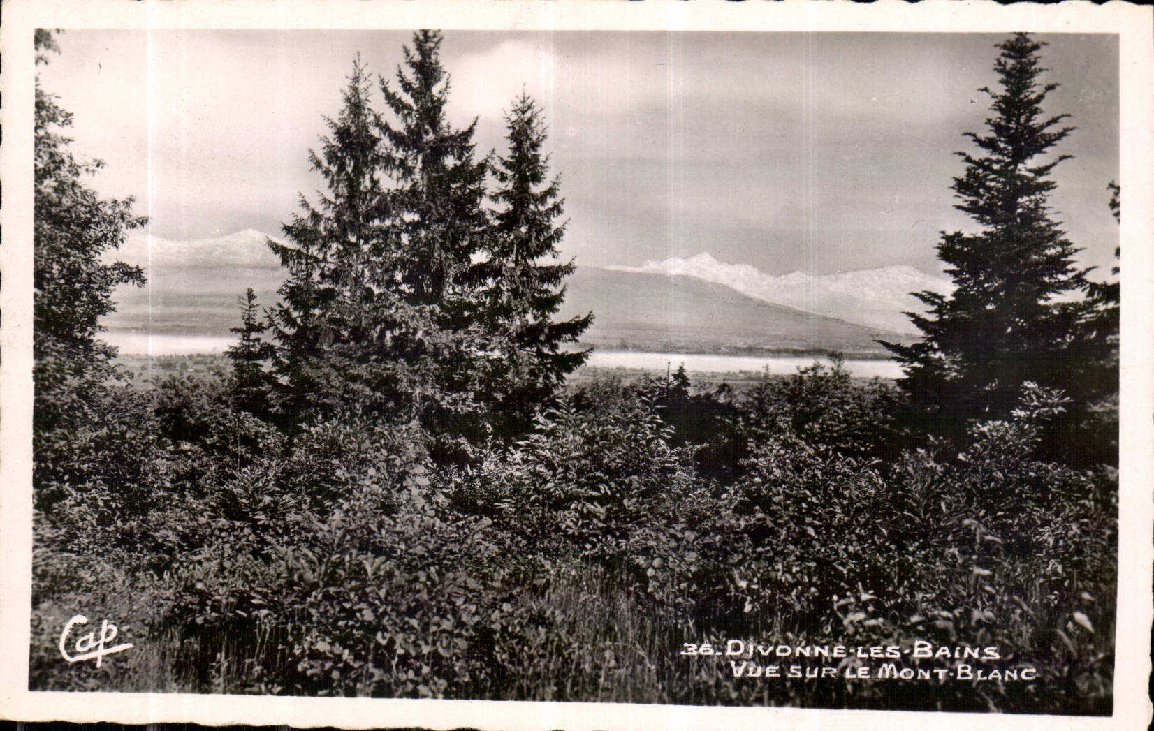 CPA Divonne les Bains Vue sur le Mont Blanc 