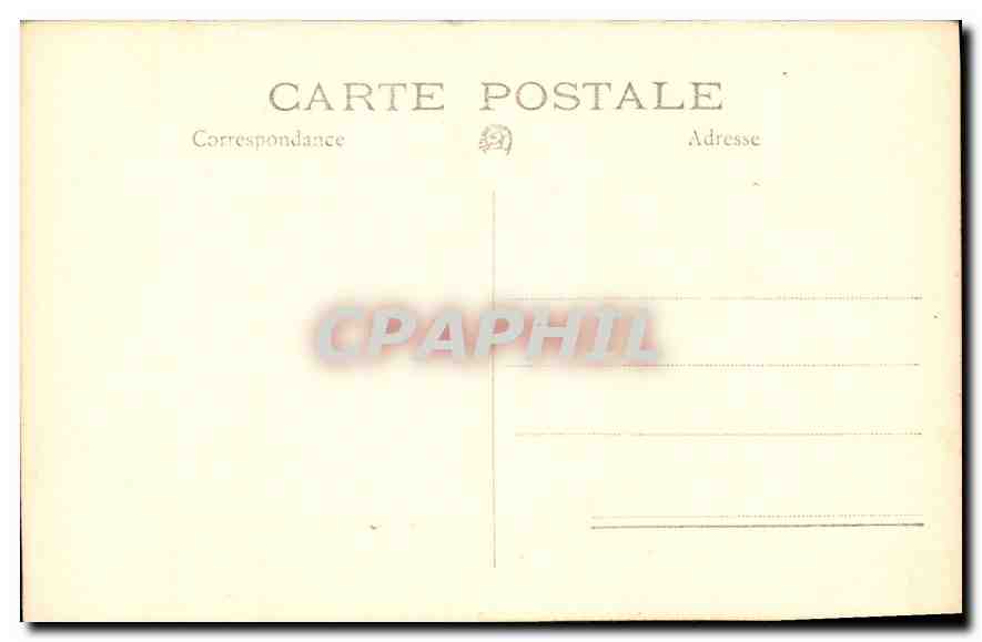 CARTE PHOTO Moutons — Verso