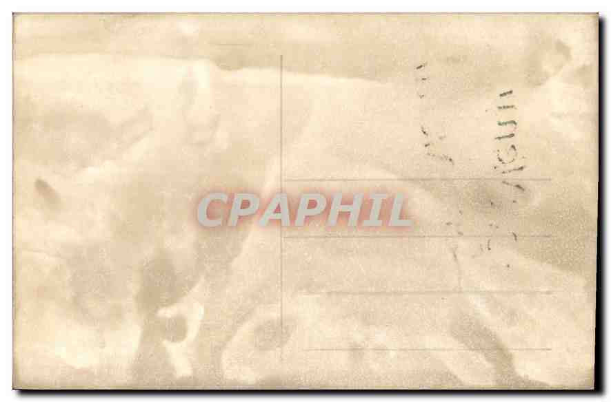 CARTE PHOTO Femmes Grece Athenes — Verso