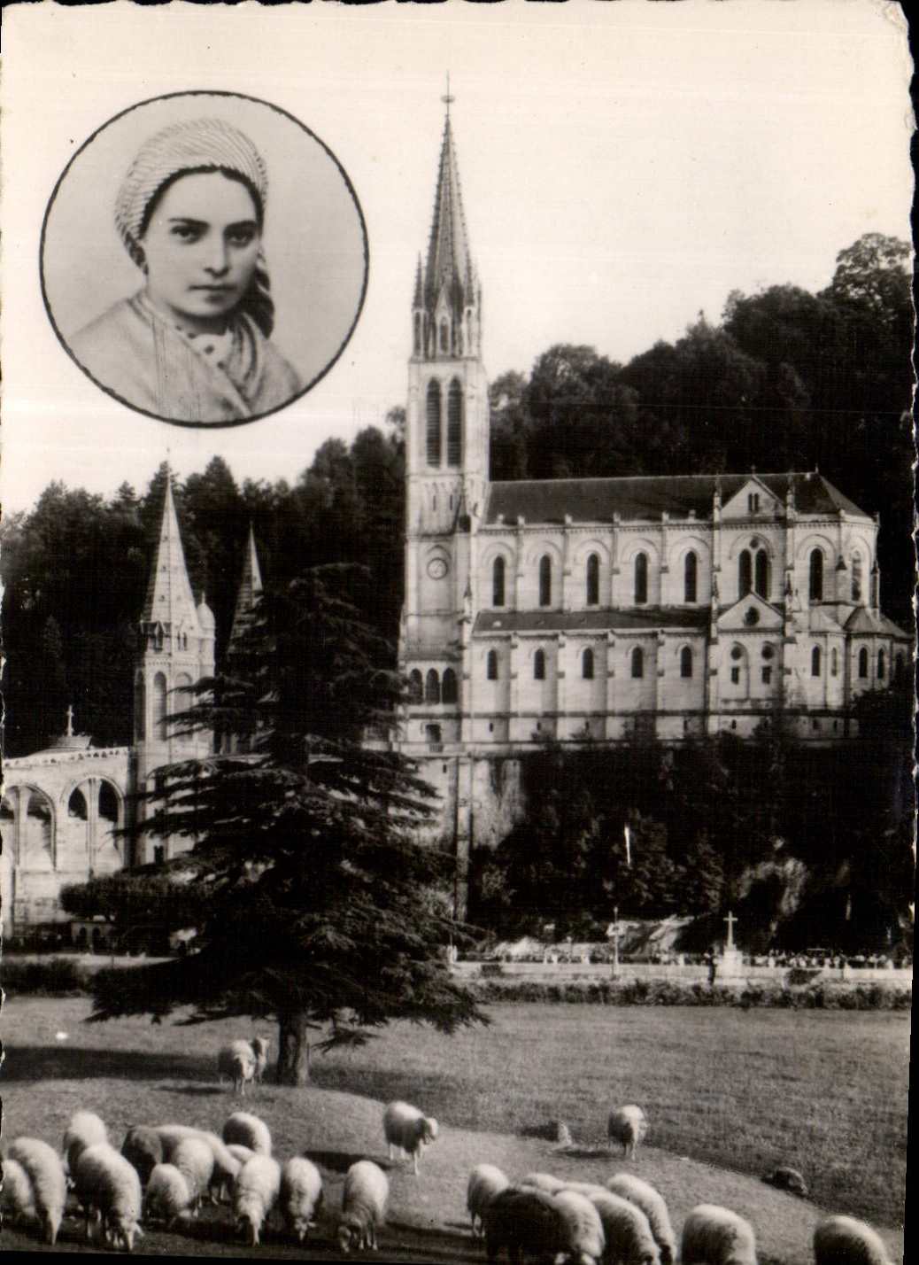 CPA Lourdes H P la Basilique en medaillon Sainte Bernadette Moutons