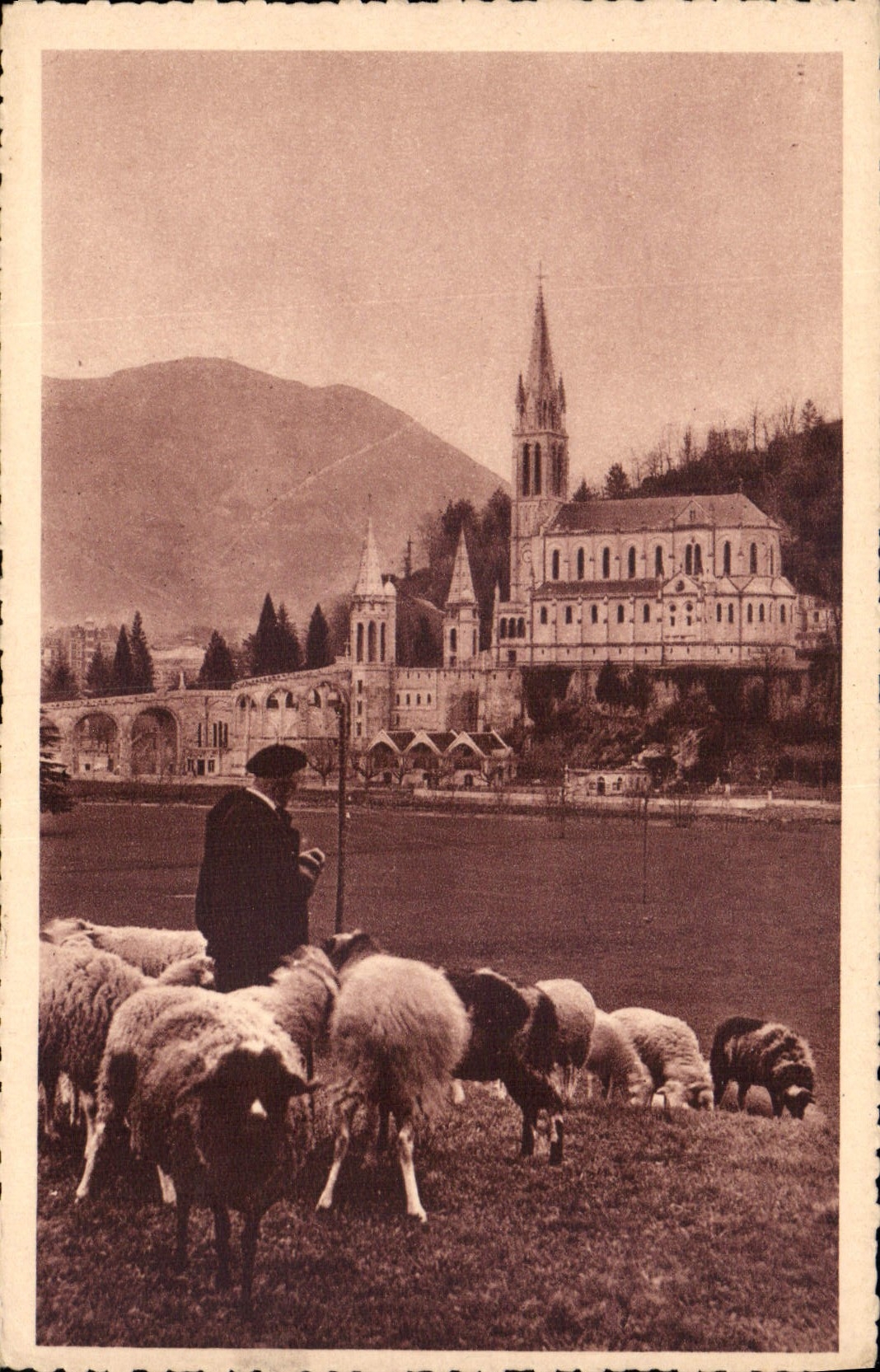 CPA Lourdes la Basilique Berger Moutons