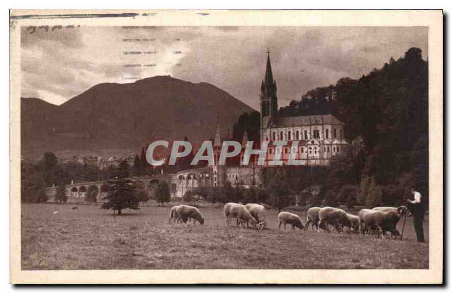 CPA Lourdes La Basilique Vue de la Praire de la Grotte 